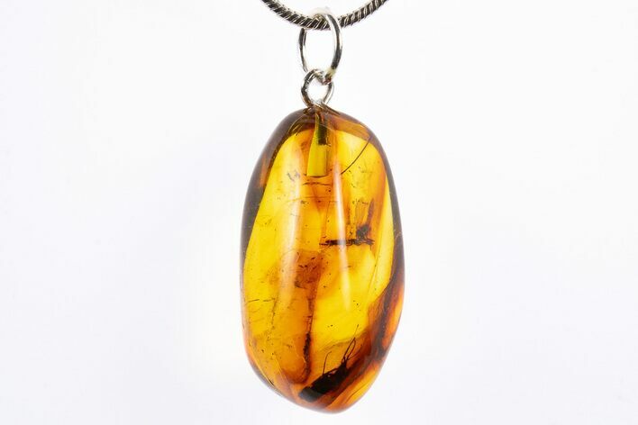 Polished Baltic Amber Pendant (Necklace) - Contains Two Flies! #322030